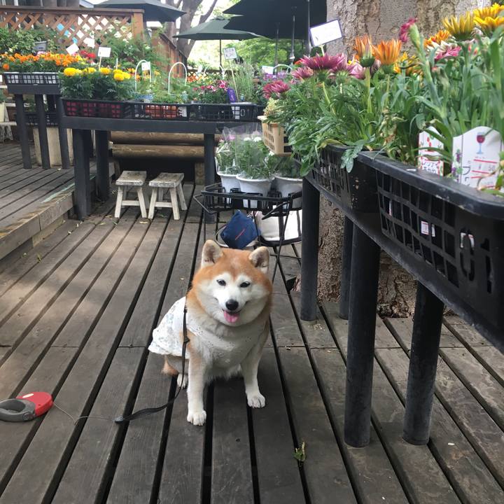 D8c93a7c b91b 4440 964a 6cc0780502ba 1559697936826