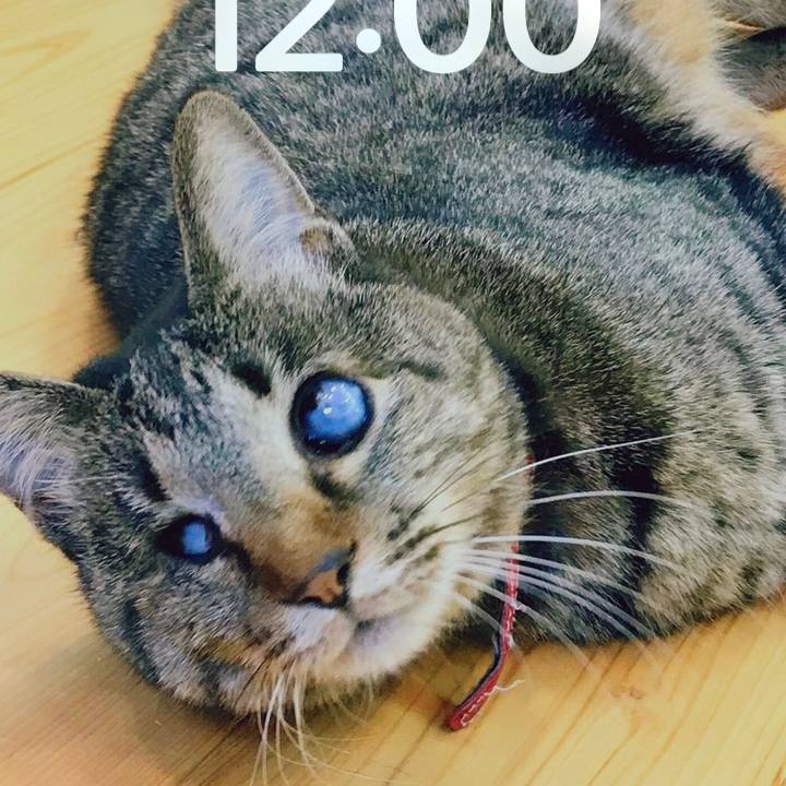 D8c9a28c 7b0d 4f51 9299 aa7a2b15e010 1690430430343