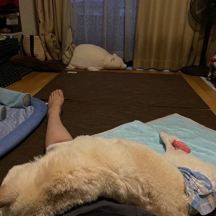 D8c9aa6f 5445 4761 bf31 40f7bcc2e658 1662668678283