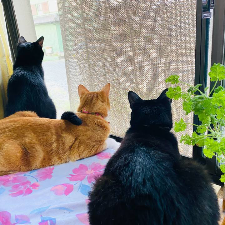 D8c9f409 dde6 48a7 b7f5 815efbc62eed 1694039534096