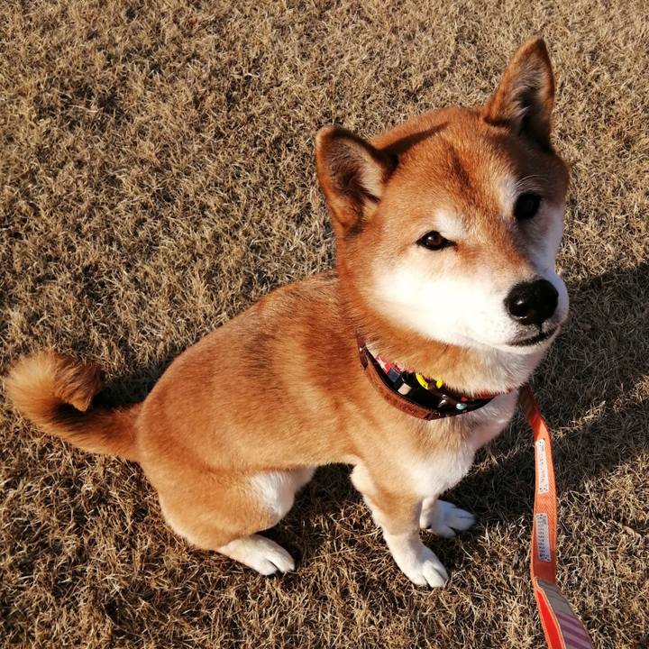 D8ca20e0 e5b0 45e8 af70 cf383622f935 1674631270730