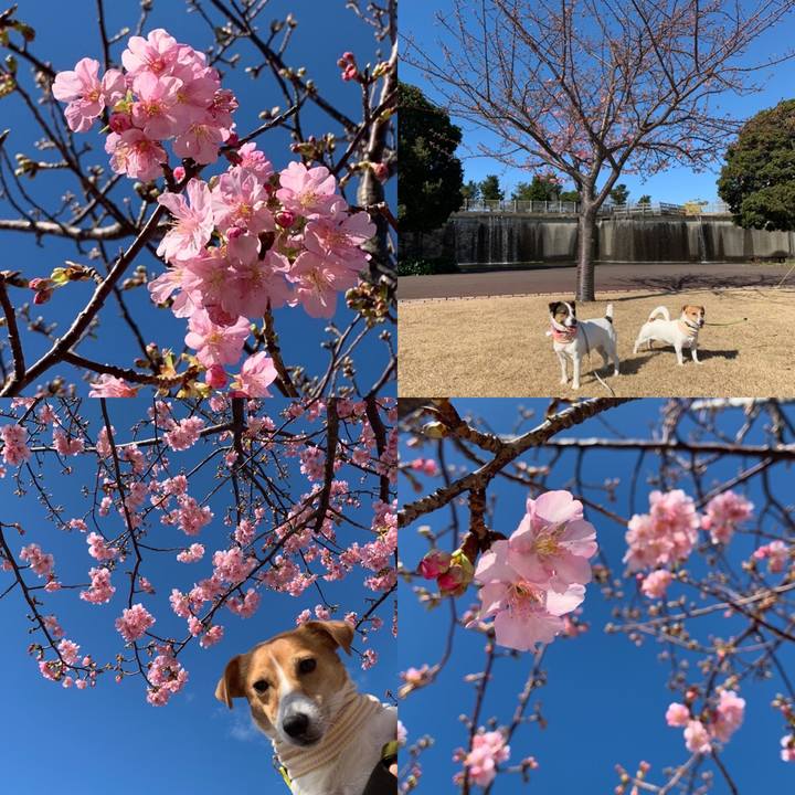 D8ca7174 15f2 4721 be0b 3ec27f670cfc 1580534920406