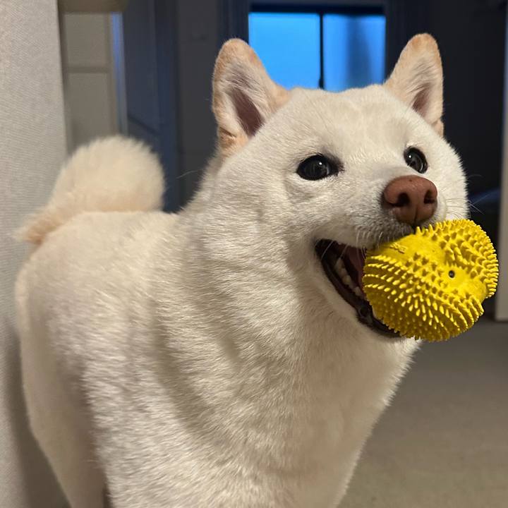 D8ca7335 0eb5 4b0f 968c 8c75f2f1b0f8 1772183265333