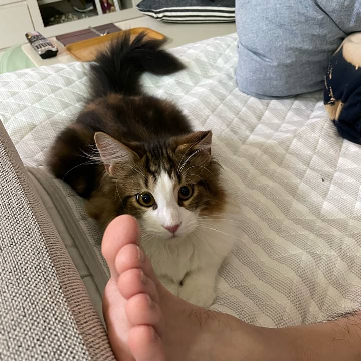 D8caa751 c492 41fb 893d 6a6c8bc507a5 1637872989647