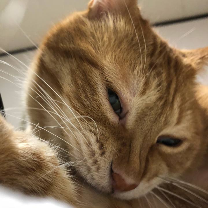 D8cb3bde 16c7 4128 86c1 1be4ae49a89a 1650276450447