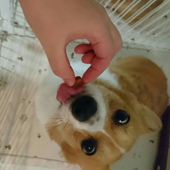 D8cb4b0b f53c 445d 919e a6502c875725 1538268187426