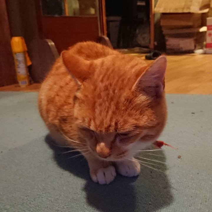 D8cb66aa 3e80 4efe 8c9e 214bce097ca0 1575532143015