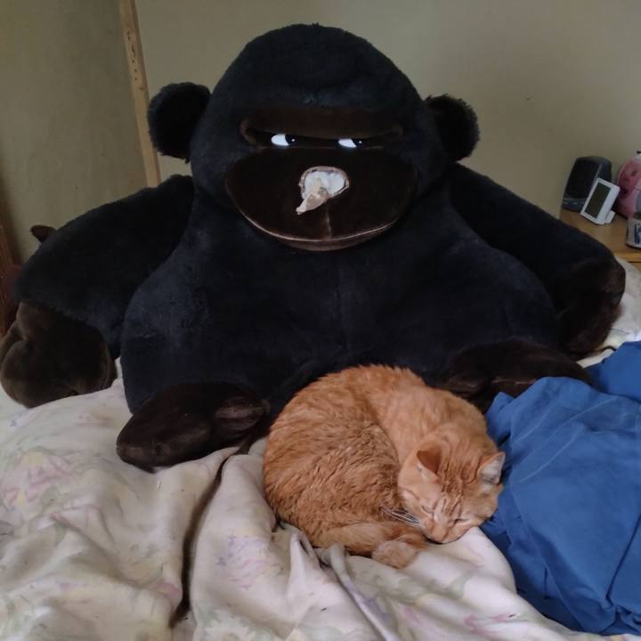 D8cb8e57 662a 4d35 b828 0acbb031dbdc 1735040191871