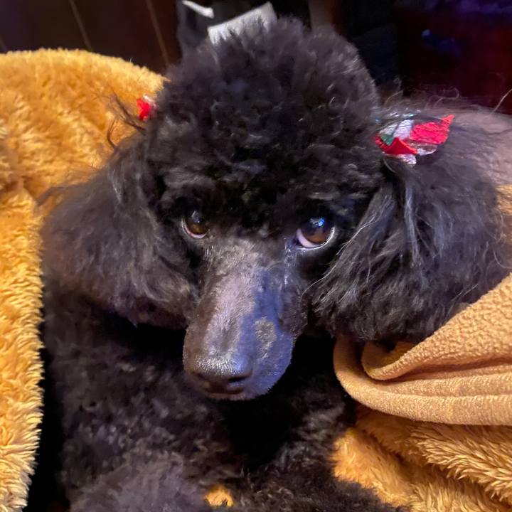 D8cb9aa9 f14b 4b4c b27c f1d53178b272 1606861175553