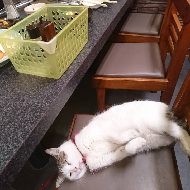 D8cba814 8c11 4c85 b3f5 c6916c2f0cfa 1530016767926