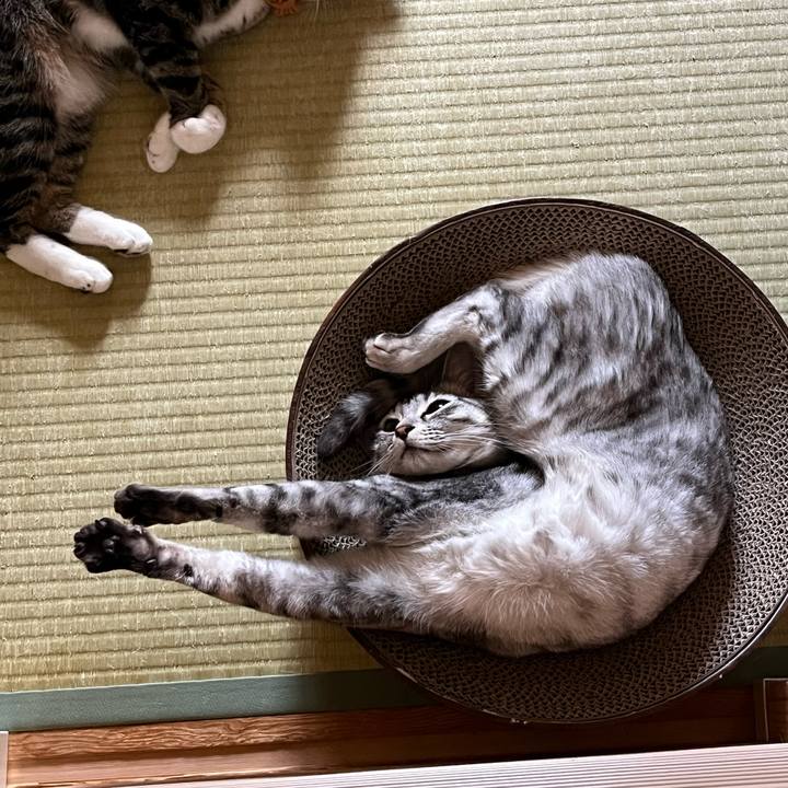 D8cbf4bd f5cf 437b 8ba3 1dc5e83dca2c 1760421116746