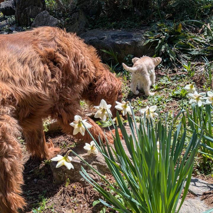 D8cc47b4 9452 461a 88bf 119bd15881ab 1775644054725