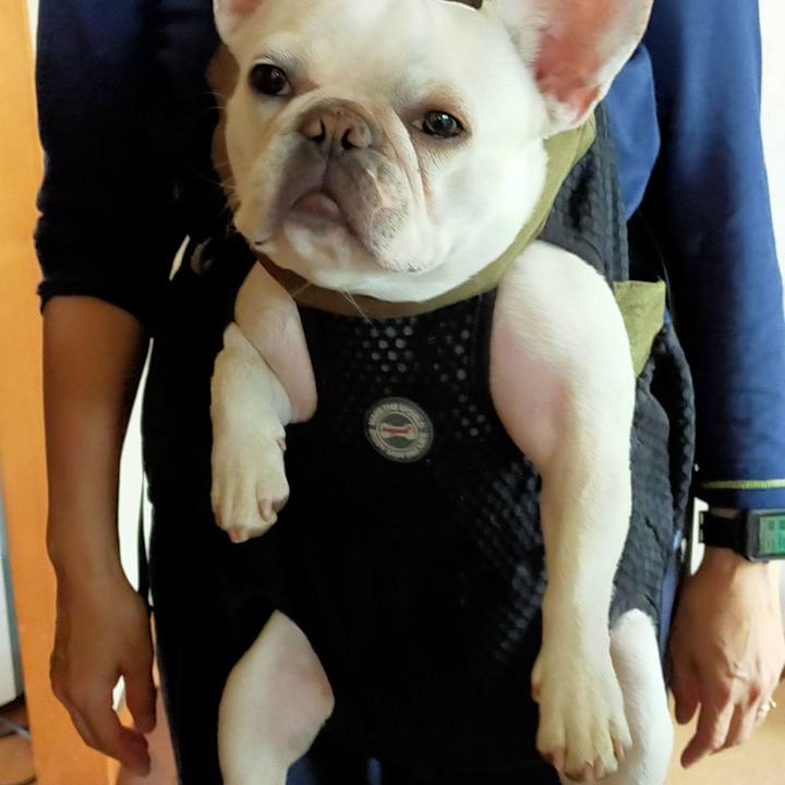 D8cc87e1 4345 4736 90d2 73a0c93a6bea 1649890258452