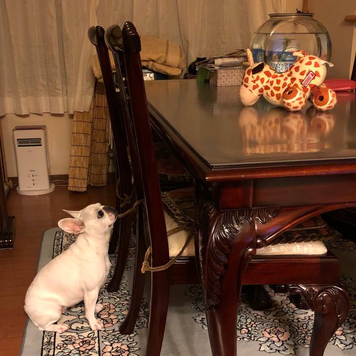 D8ccdeec c111 497e 90e9 4924cf12e4f2 1539095604408