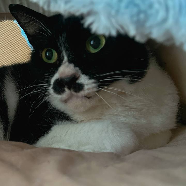 D8ccf25b 222f 4ea7 bfd8 a5d6f760d38f 1685682297537