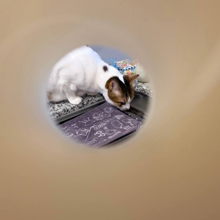 D8cd0f83 2b7d 4688 ad56 89b8f2969ba6 1764283310813