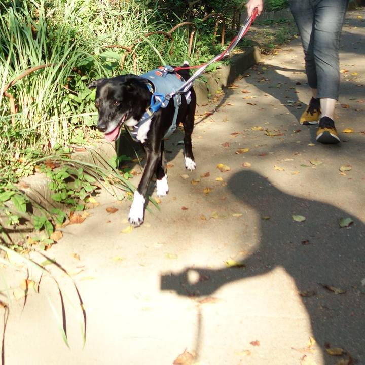 D8cd4bb1 c39d 44a9 a542 b959c40fab05 1726189043660