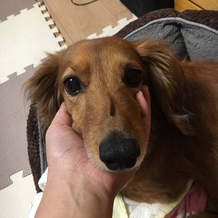 D8cd789c 52f5 4eaa 93f8 11f83398d497 1526280664414