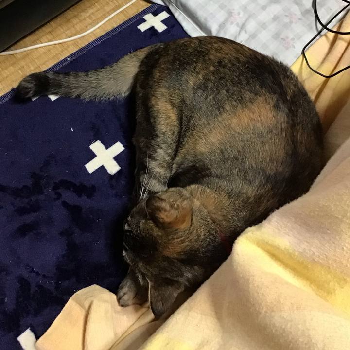 D8cd8860 4917 4ca8 a371 29d8573e2b5f 1708311327038