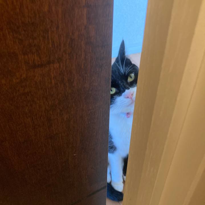 D8cd9aaf abc6 4bbe b933 a4300b6d0723 1623478611587