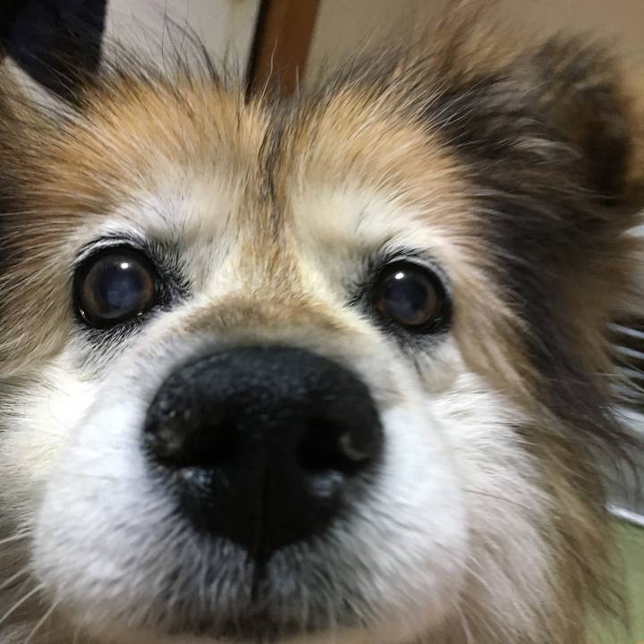 D8cda27c c5e3 4157 81d2 dee71b765fb4 1622940752269