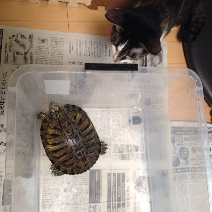 D8cdcb23 bf5f 495a 85e1 ff1bc5e31431 1508643855930