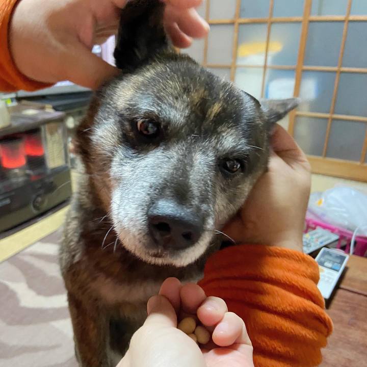 D8cdeae0 61e8 461e 9e60 a11fb9e16d1e 1643881930329