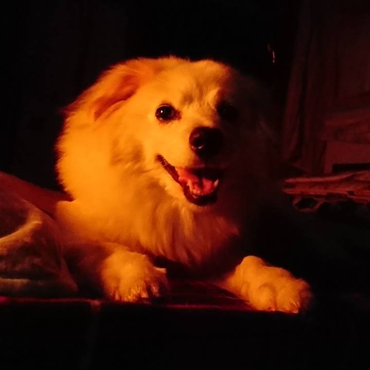 D8ce0895 fbe1 4fe9 8a4e 201c6b6365c8 1532871216767