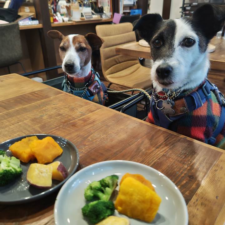 D8ce39d5 c10e 451b af9c 43c225a6cd4f 1739078149873