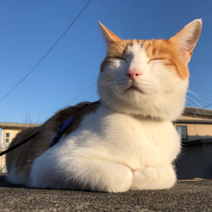 D8ce3ec8 5af3 41c1 81f2 f7fce70c124b 1543309068744