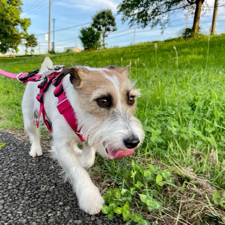 D8ce66c5 07ba 4f50 ae59 acca81939a71 1656072203547