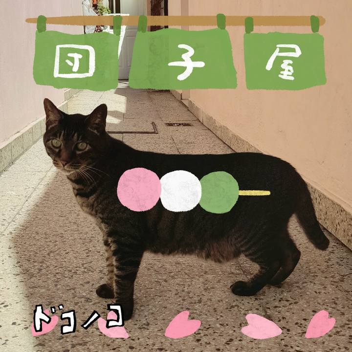 D8ce7fcb ff2d 4360 a21c 1ad3f2bdc512 1712605905080