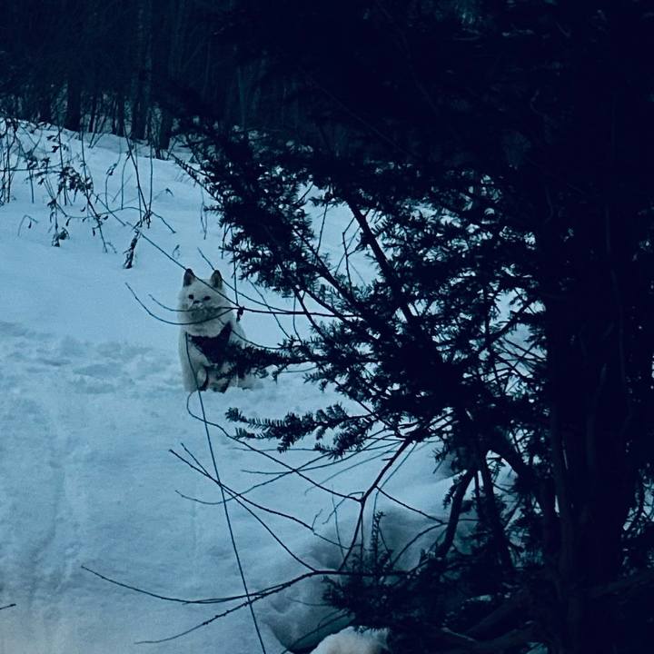 D8ce8583 b1d4 40aa a7af 62ab211a2426 1766009198144