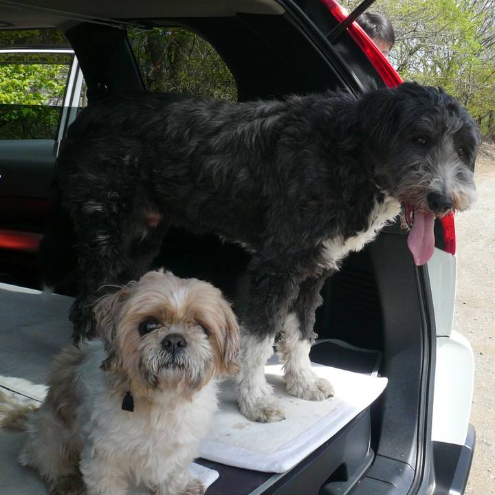 D8ced471 1a4d 477c a440 e2383be7f80a 1526210776340