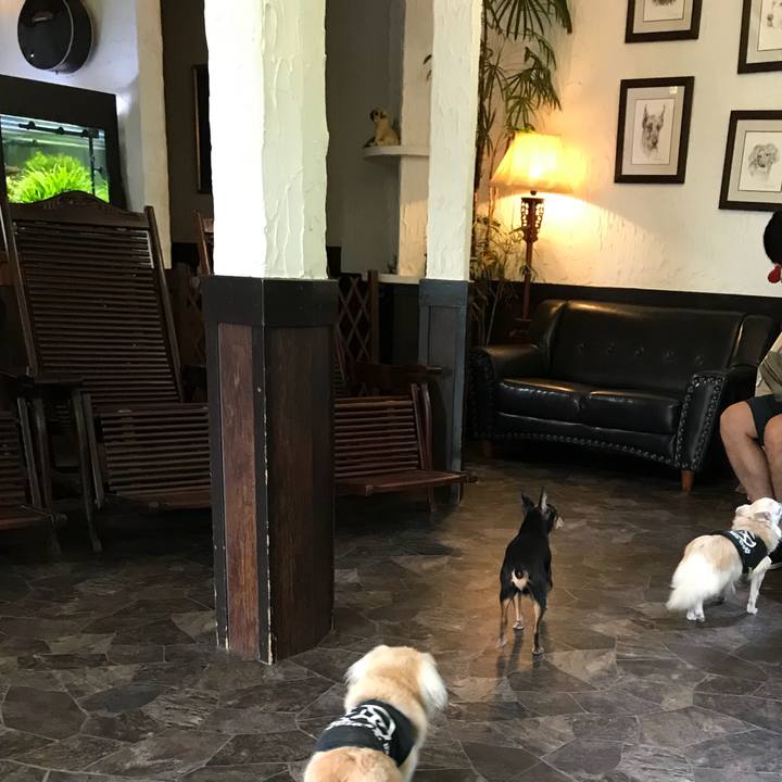 D8ceefcd fbe9 4c27 809c db6cc1c3f25a 1535974138891