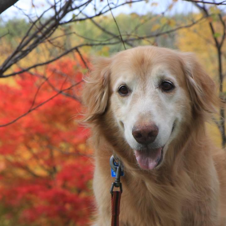 D8cef688 3b61 420d a6a8 35e17676e61f 1761299779320