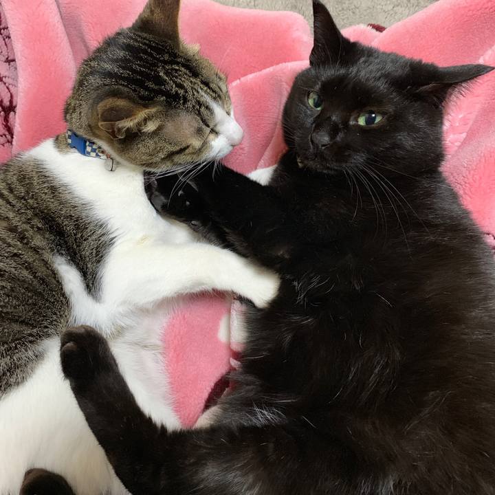 D8cf091d 2c0d 4ce5 b67f c7e5f39e3147 1545610568410