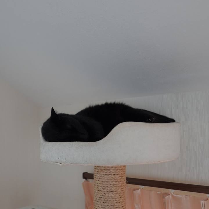 D8cf12a2 4fc1 40ab a596 79af891442c4 1591705469839