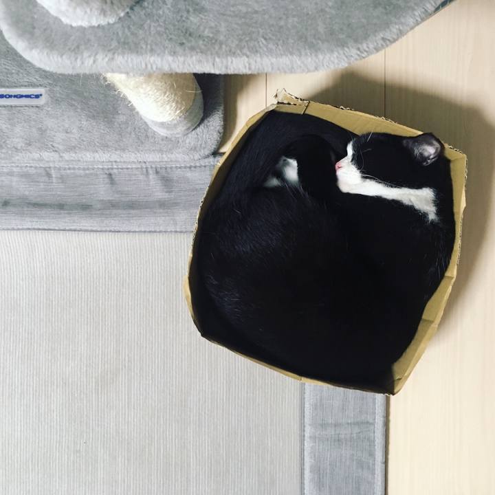 D8cf72f2 5f94 48f3 a19f 3ee1d4f13ea5 1569683298371