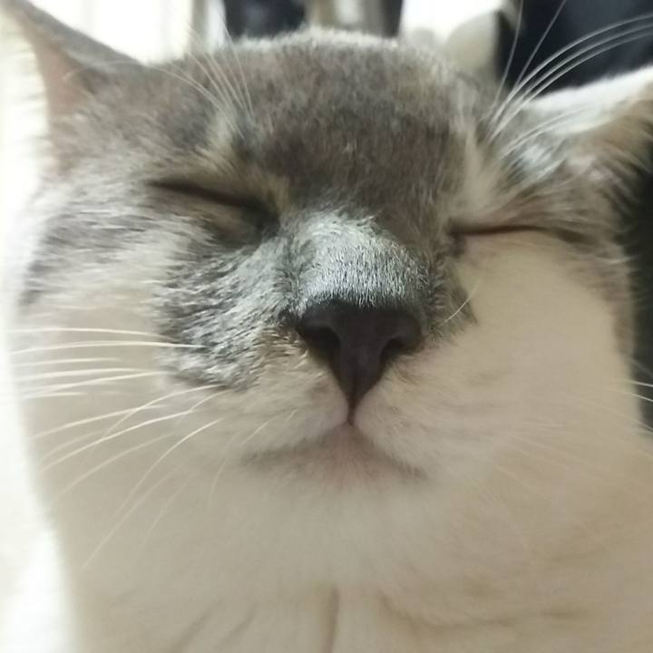 D8cfa4cd 42b5 4933 a2be 6e8a8c23ac13 1516539960151