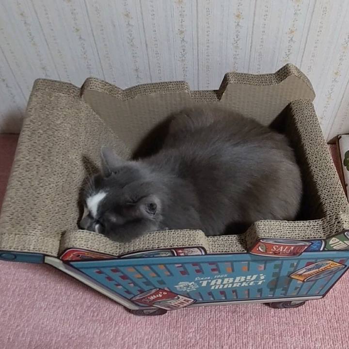 D8cfe5a4 07c4 4e96 8064 8969deb3538b 1642507548185