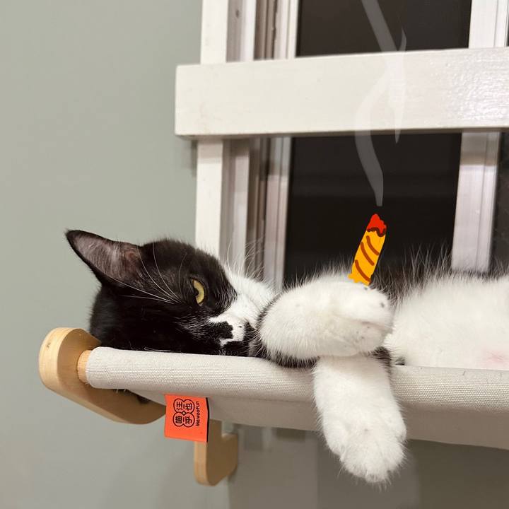 D8cfe853 b390 4780 81c2 3b2f0616aaf7 1757673967829