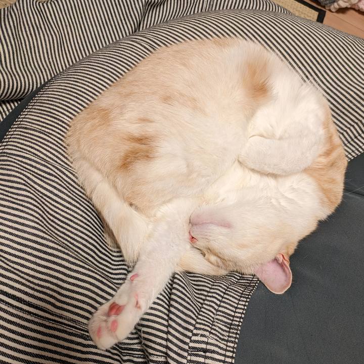 D8d03099 2645 44ca a1a8 e374c0af0ca0 1695557131812