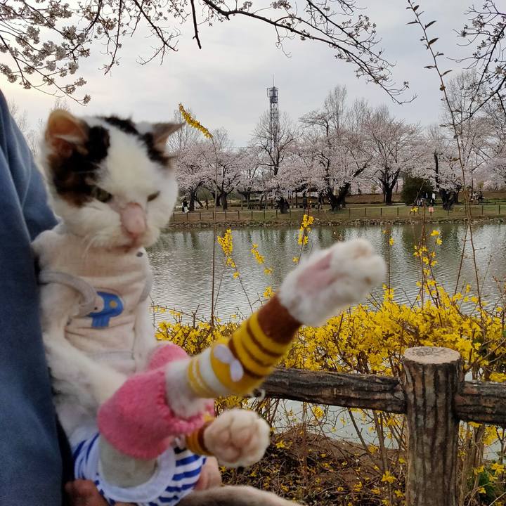 D8d03cec daa5 4a7d 9345 7c9a85e80dce 1616829765270