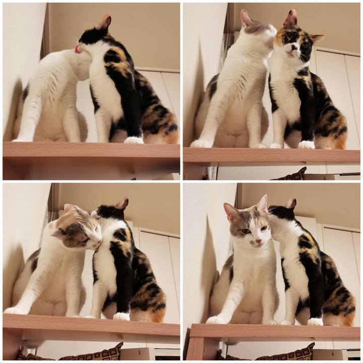 D8d04c62 8d3c 43b0 ae23 913c30a58675 1658200747799