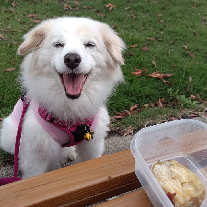 D8d07dbe b20d 4345 b75e 1a2d5b6a8ad0 1718963962857