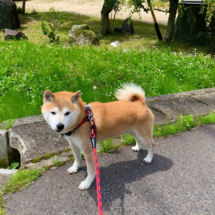 D8d086af 8a65 4fb2 9011 ec9ef79303d1 1686123154419