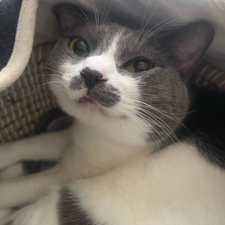 D8d0afdb ed9a 4726 b66d 88225ecd1e4f 1728090155794