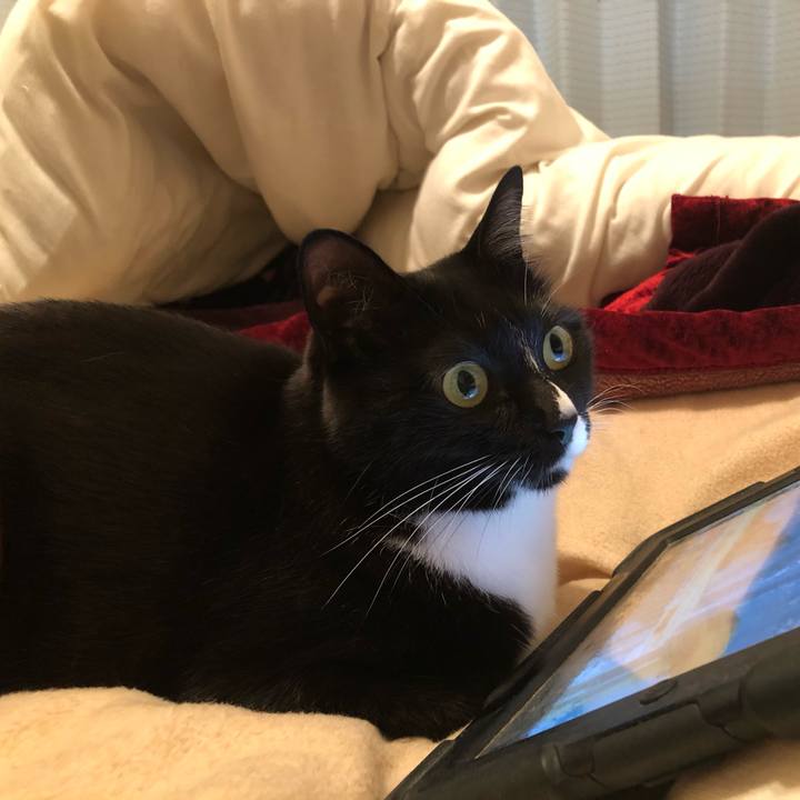 D8d0dd3a 8726 4eda ac2e 9dd183611bac 1583112733412