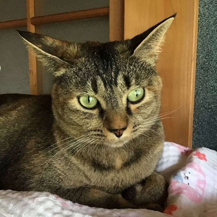 D8d0dff6 3e3f 48bc a57e bffe5d182a73 1629856961491